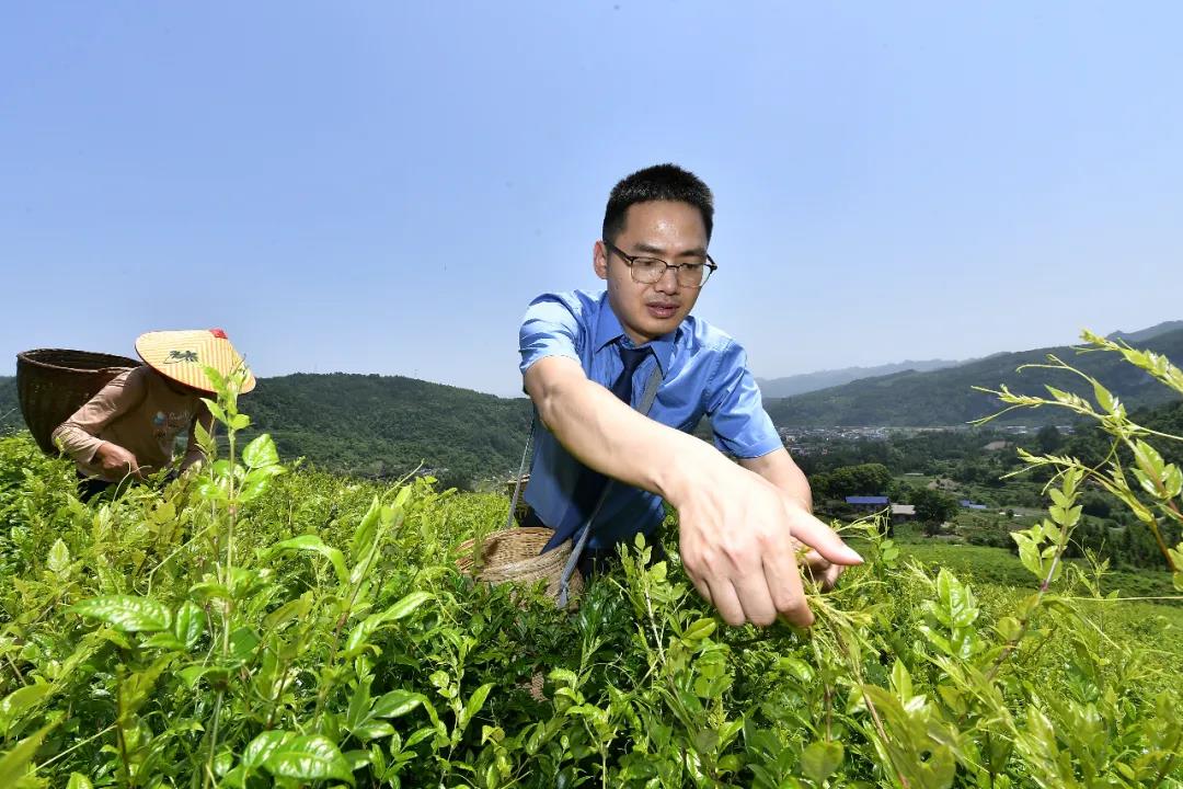 张家界检察:用心用情谱写脱贫之歌